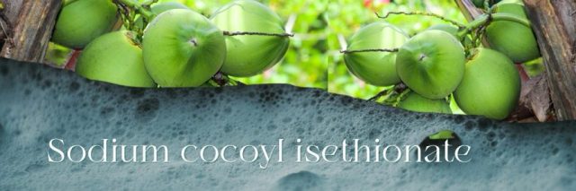 Sodium cocoyl isethionate, derived from coconut, is a natural, mild, anionic surfactant and sulfate-free cleanser commonly used in natural shampoos, body washes, and various personal care products.